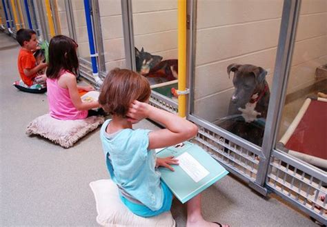 Mckinney animal shelter - Animal Shelter. Physical Address. 2601 E US Highway 80. Terrell, TX 75160. Phone: Adoption Center / Shelter 972-551-6641. 